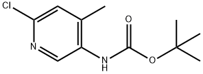 (6-Chloro-4-methyl-pyridin-3-yl)-carbamic acid tert-butyl ester Structure