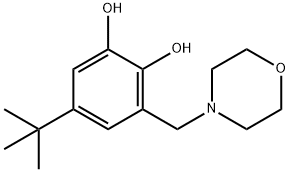 5-(tert-butyl)-3-(morpholinomethyl)benzene-1,2-diol Structure
