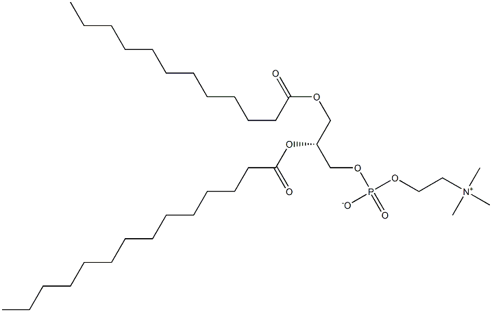 1-lauroyl-2-myristoyl -sn-glycero-3-phosphocholine Structure