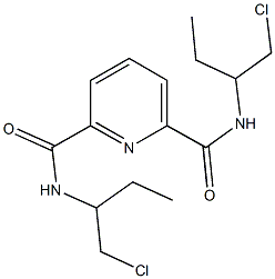 N~2~,N~6~-bis[1-(chloromethyl)propyl]-2,6-pyridinedicarboxamide Structure
