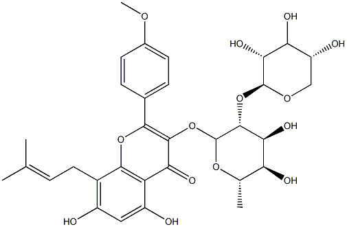 Sagittatosdie B Structure