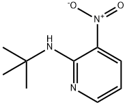 N-tert-butyl-3-nitropyridin-2-amine Structure