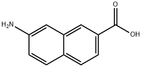 7-Amino-2-naphthoic acid Structure