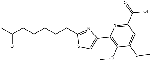 WS 75624 B Structure