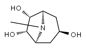 Teloidine Structure