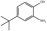 1199-46-8 2-Amino-4-tert-butylphenol