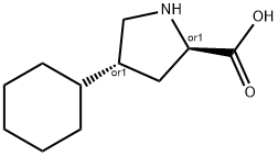 TRANS-4-CYCLOHEXYL-L-PROLINE Structure