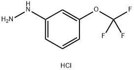 (3-TRIFLUOROMETHOXY-PHENYL)-HYDRAZINE HYDROCHLORIDE Structure