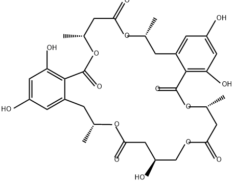 NG 011 Structure