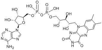 Flavin adenine dinucleotide Structure