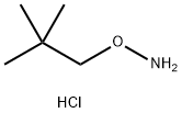 2,2-DIMETHYL-1-PROPANOXYAMINE HYDROCHLORIDE Structure