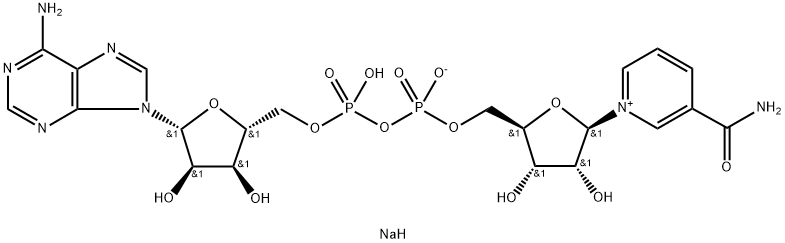 20111-18-6 β-Nicotinamide adenine dinucleotide sodium salt 