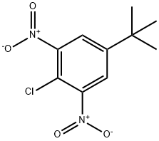 2-Chloro-5-(1,1-dimethylethyl)-1,3-dinitrobenzene Structure