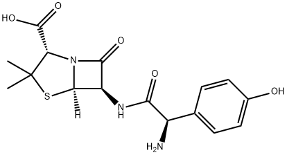 Amoxicillin Structure