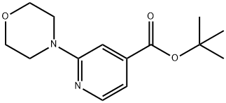 2-(4-MORPHOLINYL)-PYRIDINE-4-CARBOXYLIC ACID TERT-BUTYL ESTER Structure