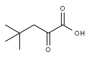 4,4-DIMETHYL-2-OXO-PENTANOIC ACID Structure