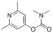 N,N-Dimethylcarbamic acid 2,6-dimethyl-4-pyridyl ester Structure
