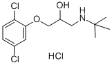 1-(tert-butylamino)-3-(2,5-dichlorophenoxy)propan-2-ol hydrochloride Structure