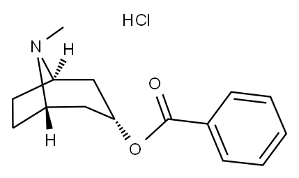 ENDO-TROPACOCAINE (8-METHYL-8-AZABICYCLO[3.2.1]OCT-3-YL) BENZOATE HCL
 Structure