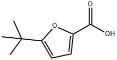 5-tert-butyl-2-furoic acid Structure