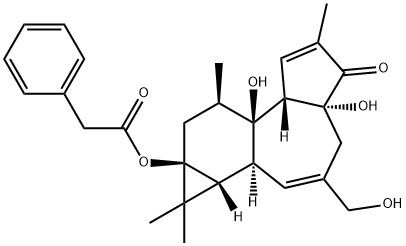 12-DEOXYPHORBOL 13-PHENYLACETATE Structure
