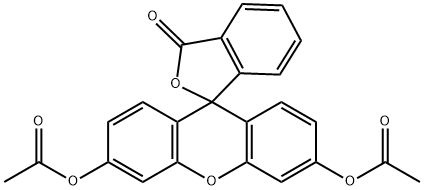 Fluorescein diacetate Structure