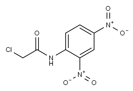 2-CHLORO-N-(2,4-DINITRO-PHENYL)-ACETAMIDE Structure