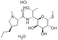 7179-49-9 Lincomycin hydrochloride monohydrate