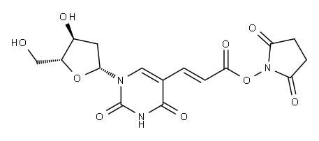(E)-5-[2-(2-CARBOXYVINYL)]-2'-DEOXYURIDINE N-HYDROXY-SUCCIMIDE ESTER Structure