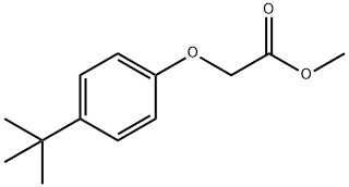 methyl 2-(4-tert-butylphenoxy)acetate Structure