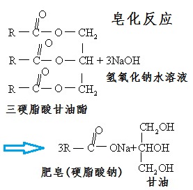 天然油脂皂化反应制备硬脂酸钠