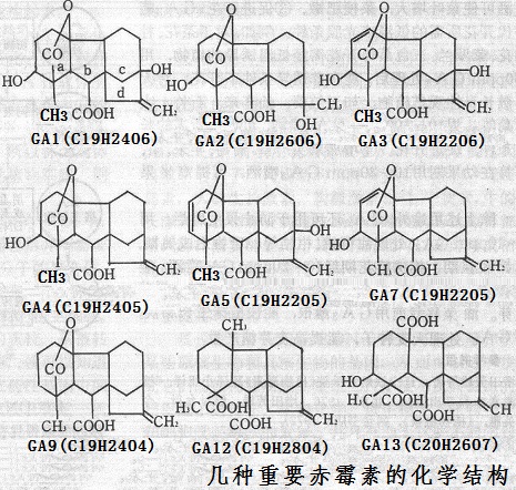 几种重要赤霉素GA的化学结构