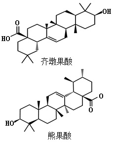 齐墩果酸、熊果酸结构式