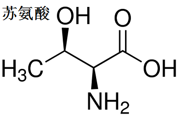 苏氨酸 分子结构式