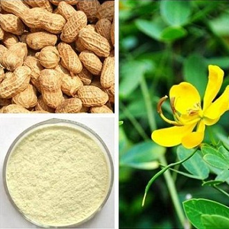 the pale yellow powder of luteolin and its sources of plant
