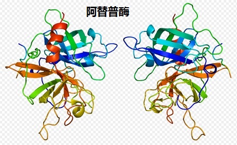 阿替普酶 3D螺旋结构