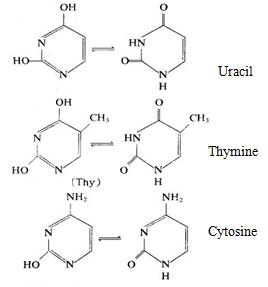Nucleic acid contains three important pyrimidine derivatives, being an important base in nucleic acid, plays an important role in the body of organisms.