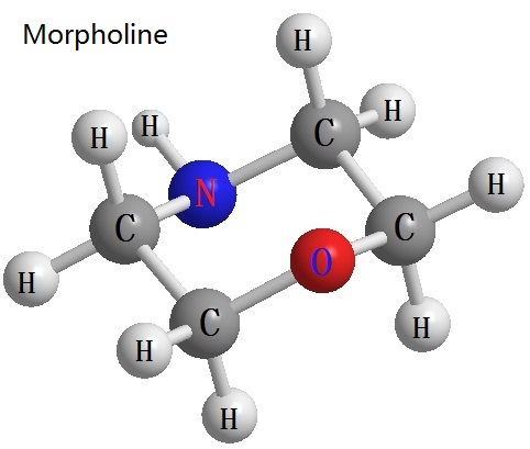 the morpholine structure
