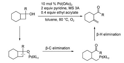 钯催化的环丁醇开环反应