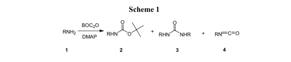 Boc2O/DMAP与Amines和Alcohols的副反应