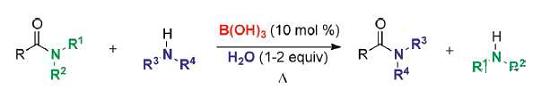 硼酸作为一种高效催化转酰氨基反应中的应用