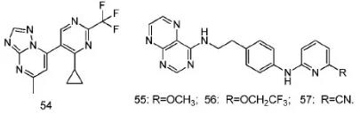 稠杂环嘧啶类化合物 2