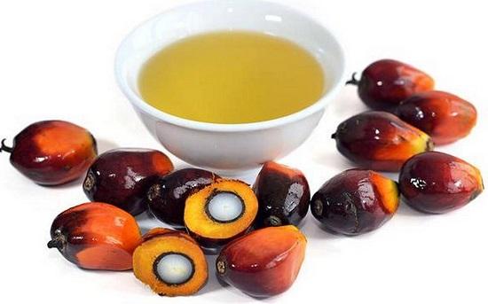 Palm Oil.jpg