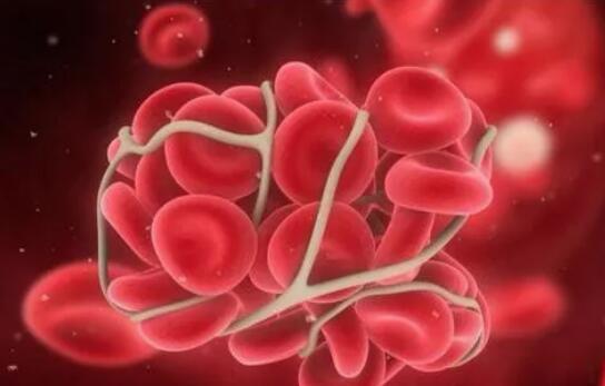 血红蛋白的功能及其分子病