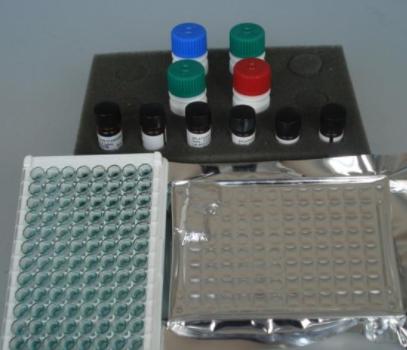 大鼠磷酸肌酸激酶(CPK)ELISA试剂盒