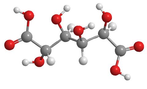 10405-02-4 Trospium chloride Biological actionPharmacodynamicsPharmacokineticsanticholinergic