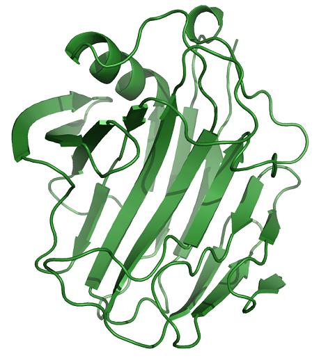 纤维素酶的制备方法