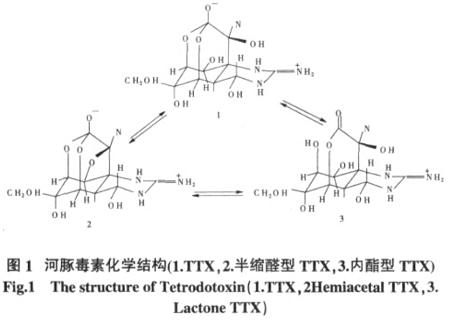 TTX化学检测法