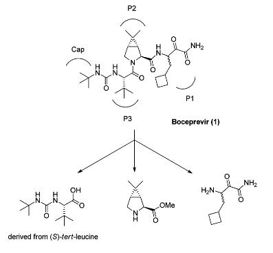 565456-77-1 side chain synthesis of boceprevirboceprevir intermediate