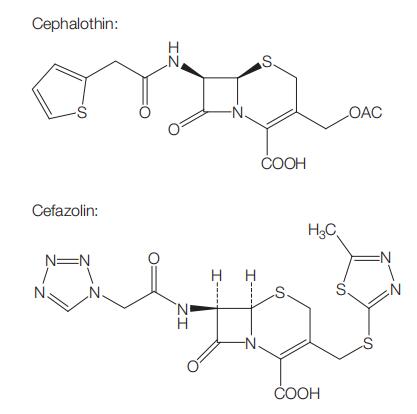 153-61-7 CephalothinCefazolinAntimicrobial ActivitySusceptibilityAdministrationClinical Uses